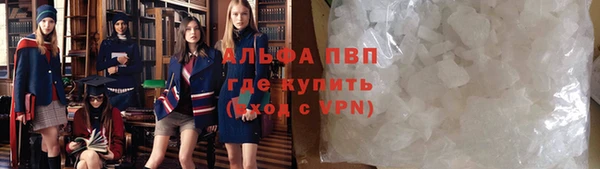 гидра Алексеевка