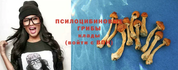 mdpv Алзамай