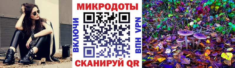 Галлюциногенные грибы Psilocybe Лагань
